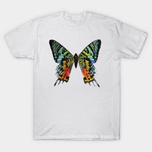 Madagascan Sunset Moth T-Shirt